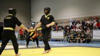 IMG_3389.JPG